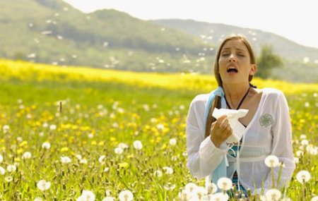 9 remedios naturales para la alergia primaveral