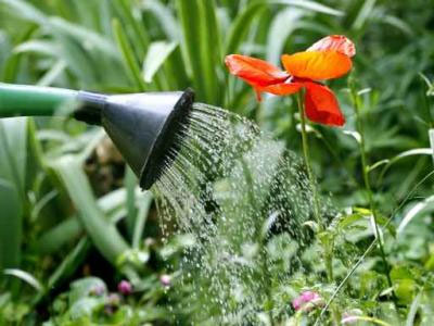 Ahorra agua de riego